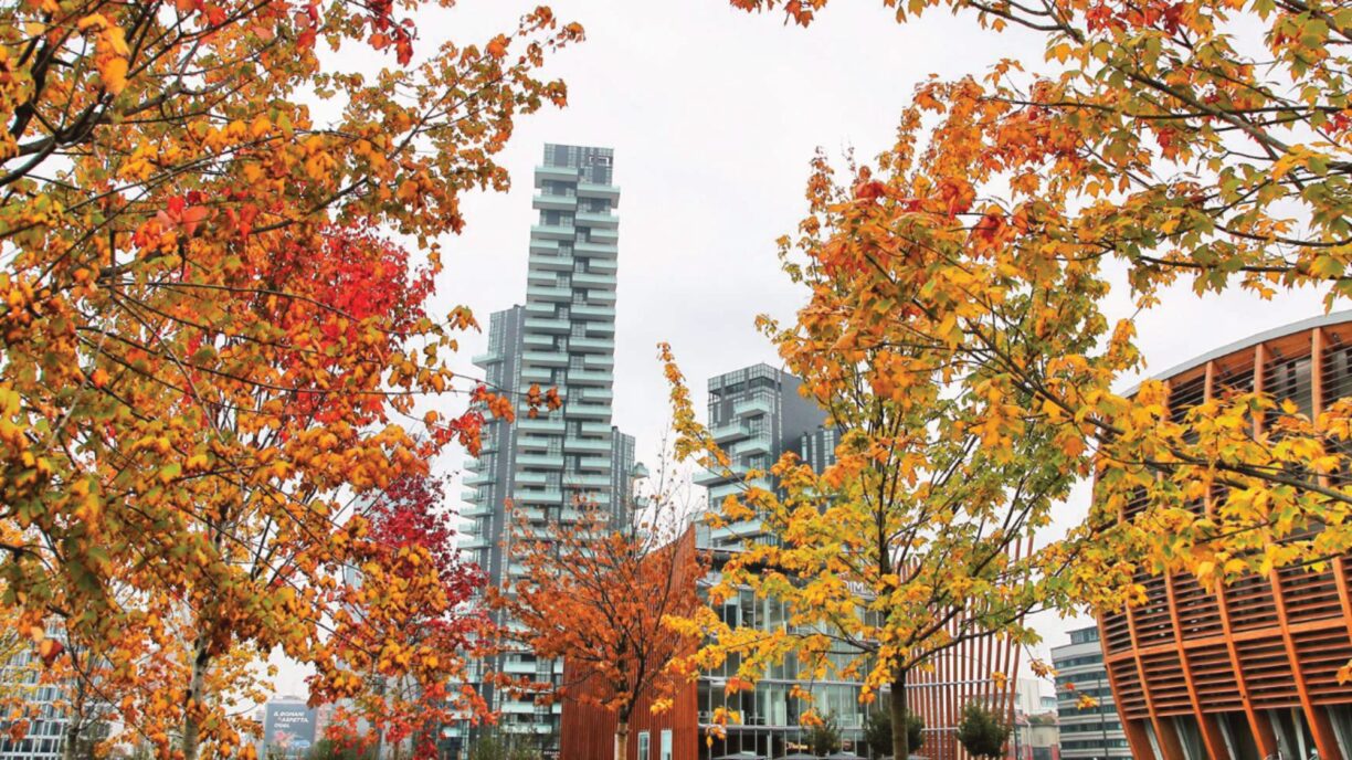 Fall atmosphere at Porta Nuova Milan