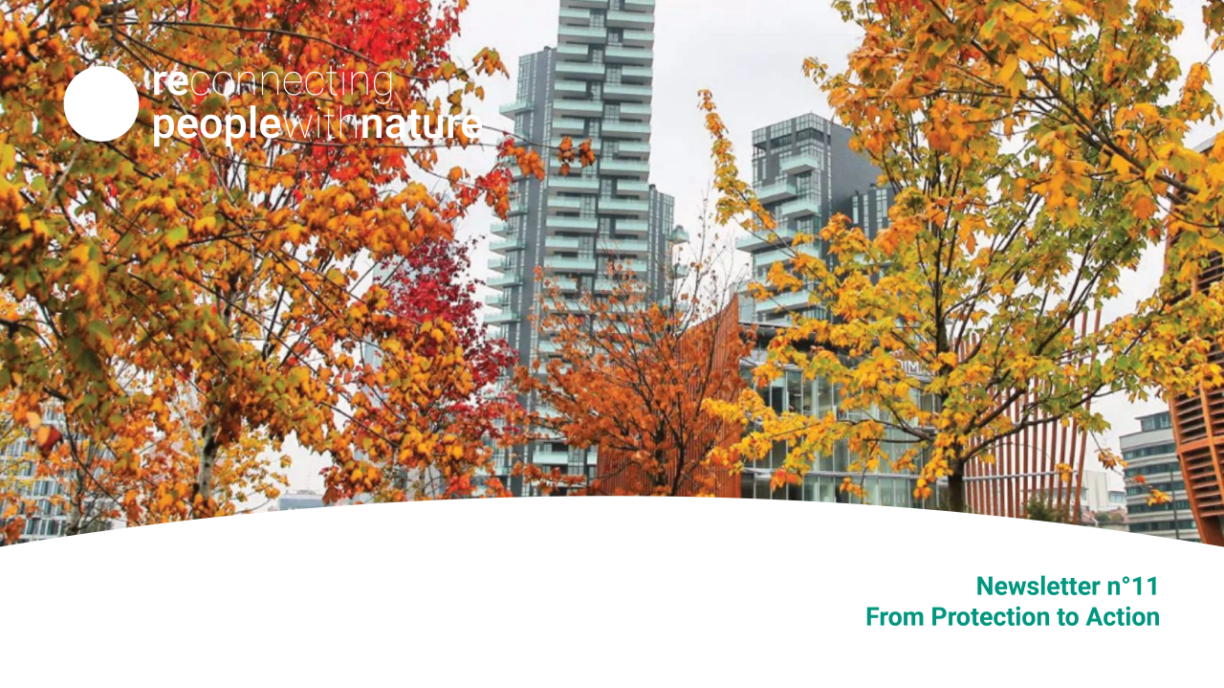 Skyscraper with trees in autumn foliage