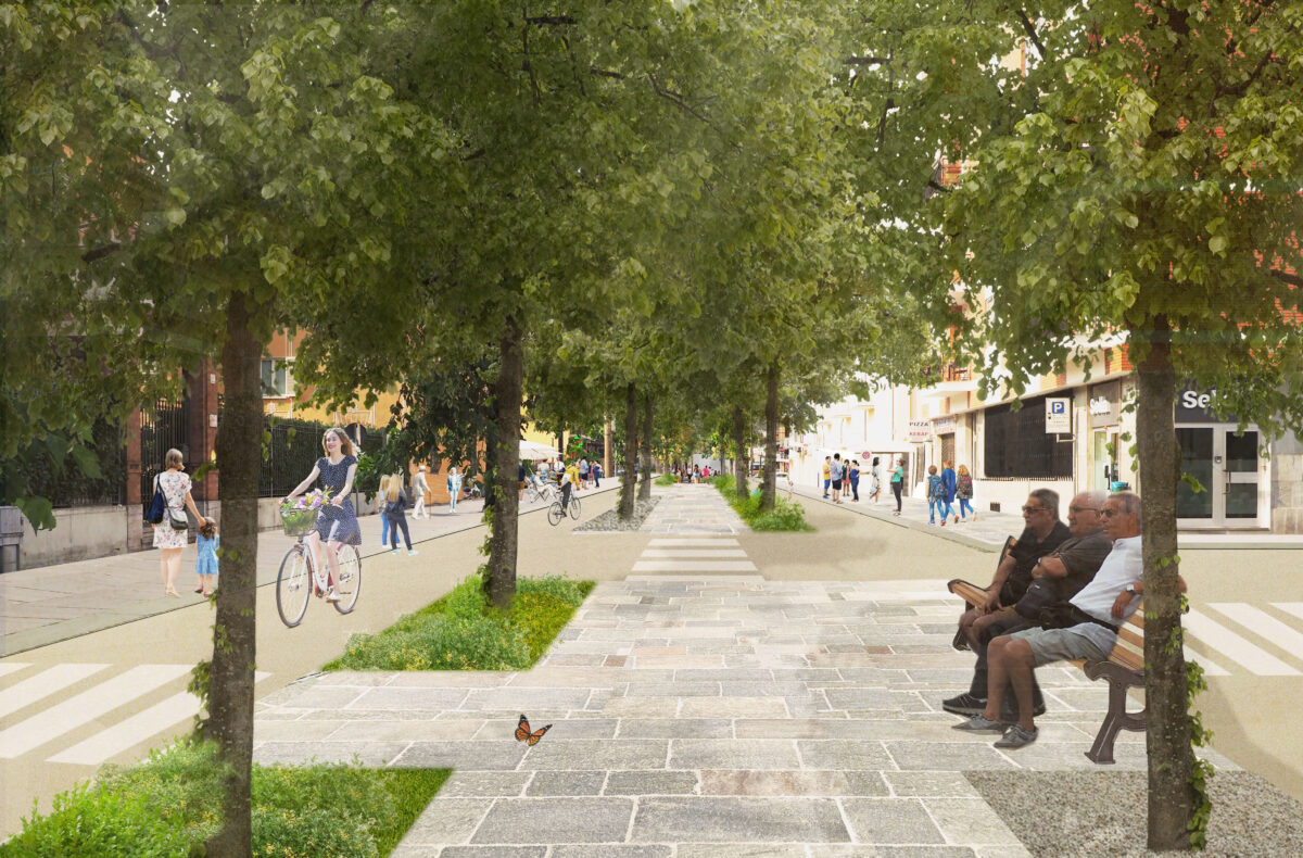 elderly men seated on a bench in an avenue